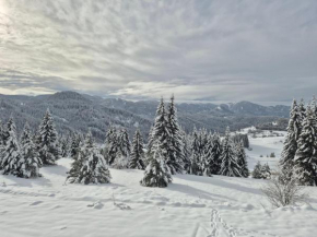 Panorama Stoykite Yana apartment Pamporovo